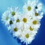 ������ ��� ���� LOVE