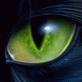 ������ ��� MadCat
