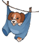 ������ ��� nod